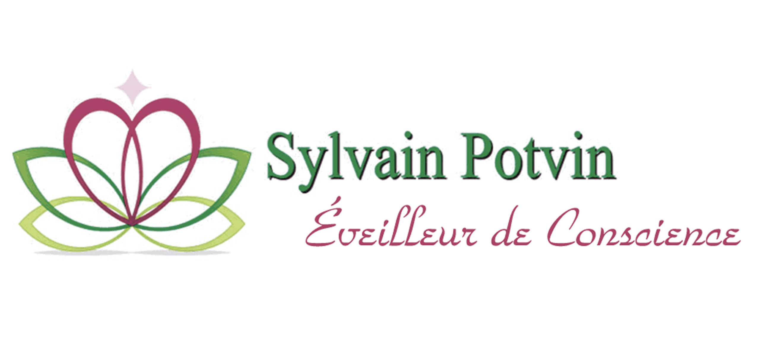 Sylvain Potvin